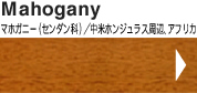 Mahogany�}�z�K�j�[�i�Z���_���ȁj�^���ăz���W�����X���ӁA�A�t���J