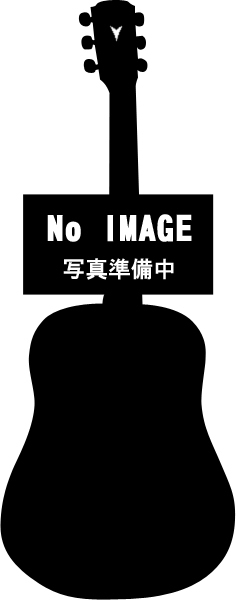 ARTIST MODEL GW-1200DX